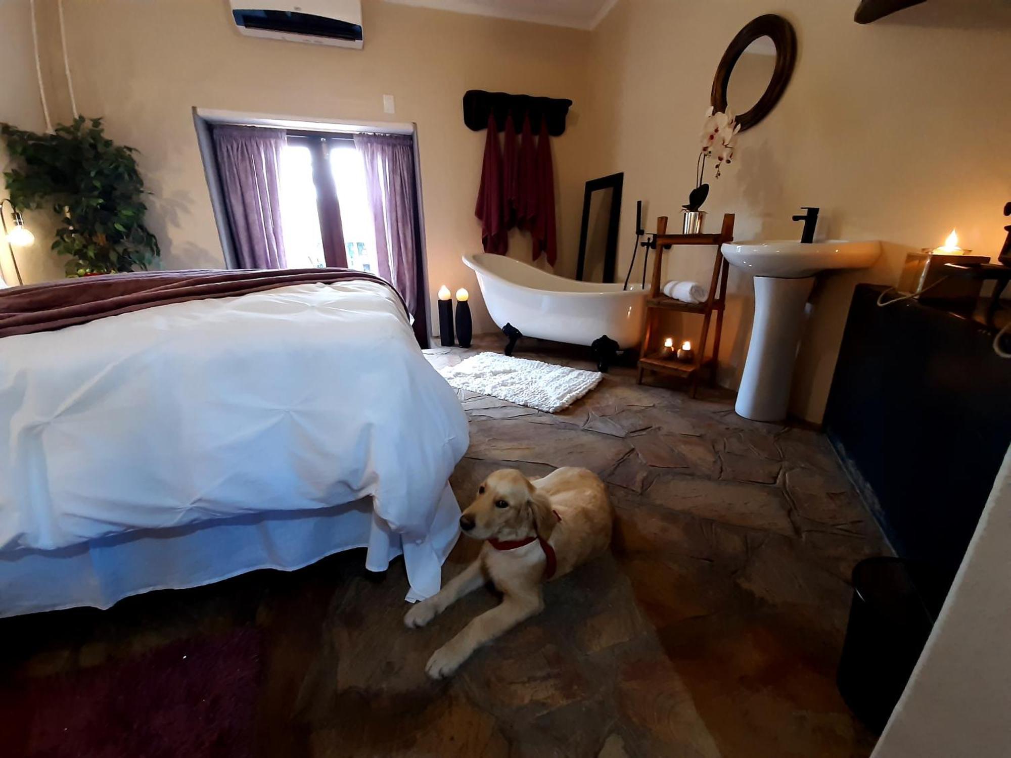 클랜윌리엄 Rosenhof Manor House - Since 1847 아파트 외부 사진